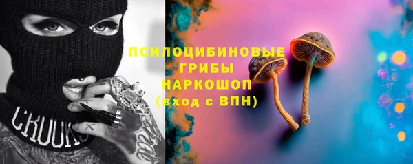 дмт Няндома