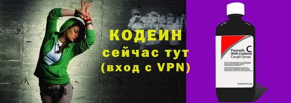 дмт Няндома