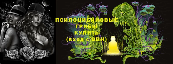 стаф Абдулино