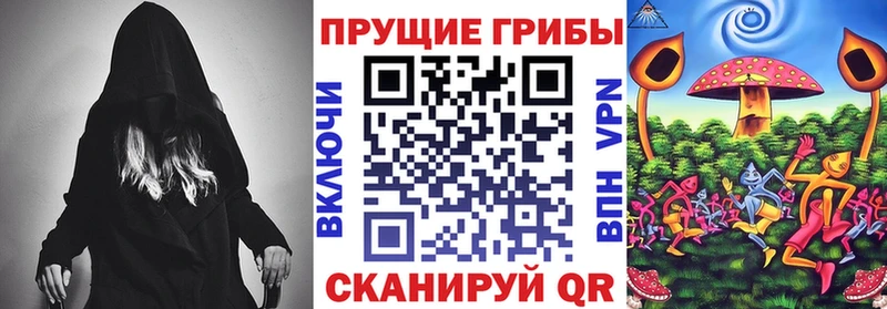 Галлюциногенные грибы мицелий  мега tor  Зубцов 